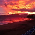 Arcelia